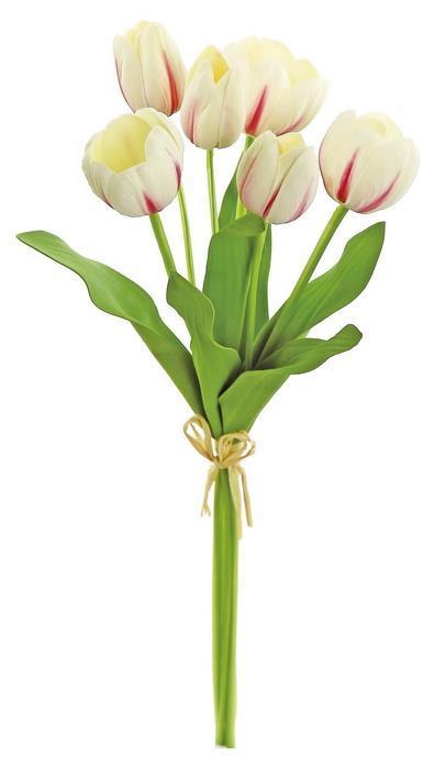 Tulip Stem Bundle 
