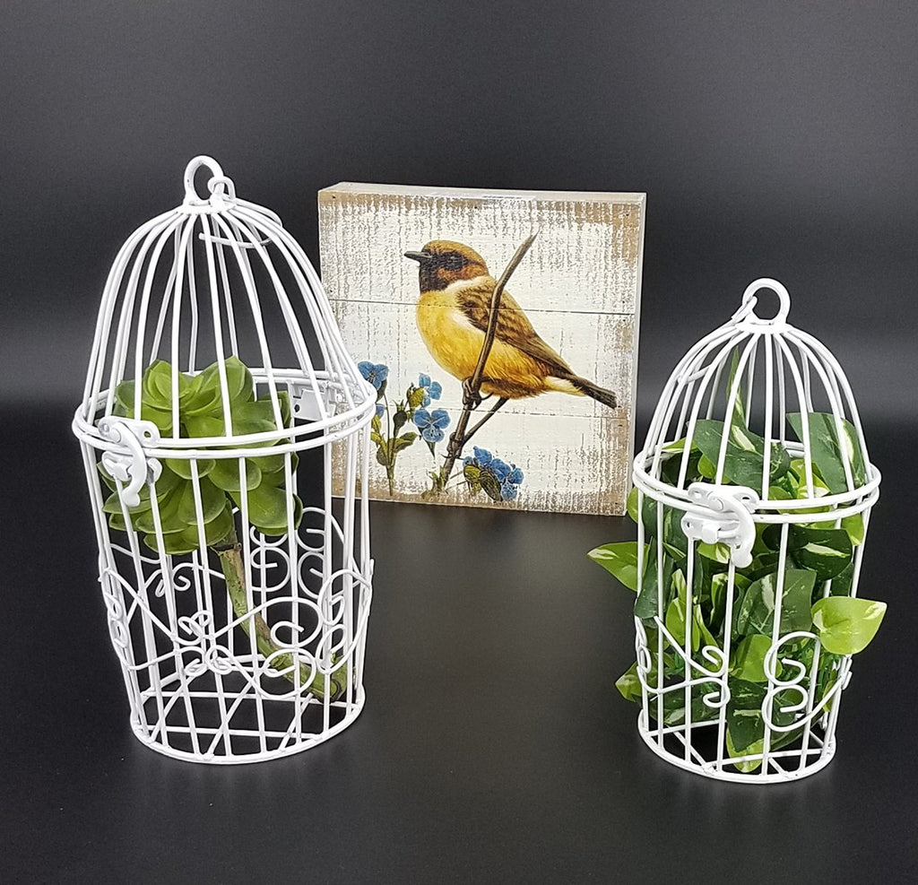 Birdcage Metal Hanging
