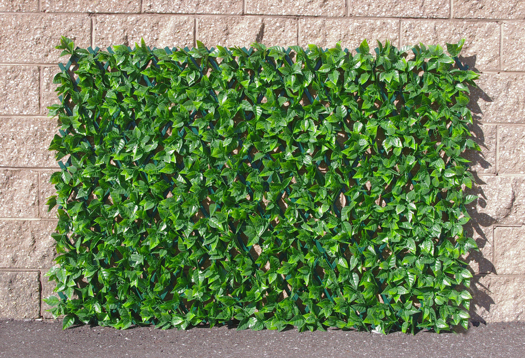 Artificial Pothos Leaf Expandable Privacy Screen