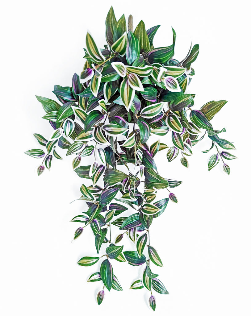 Wandering Jew Hanging Bush ( Real Touch )