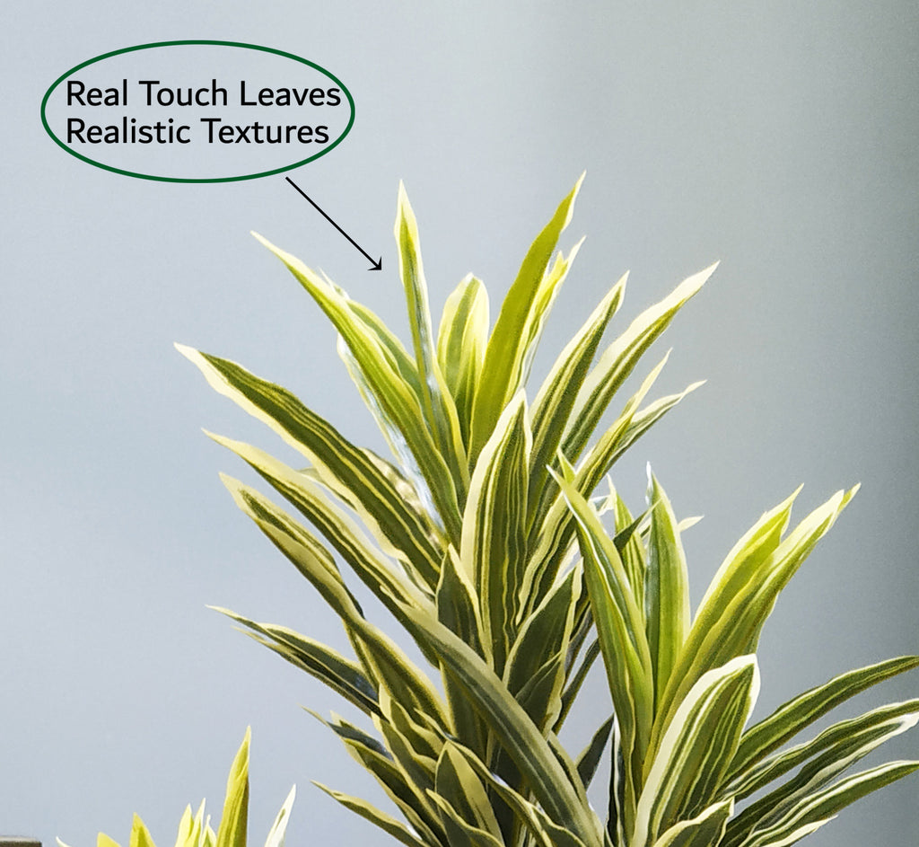 Artificial Dracaena Real Touch Plant