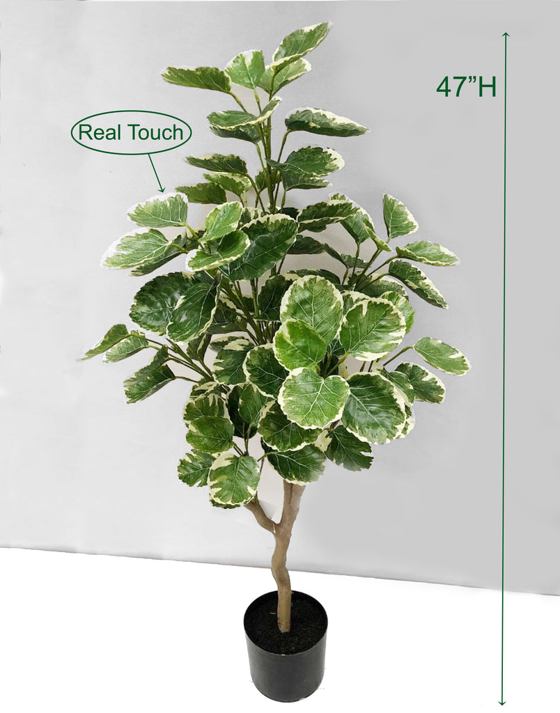 Artificial Money Tree Real Touch