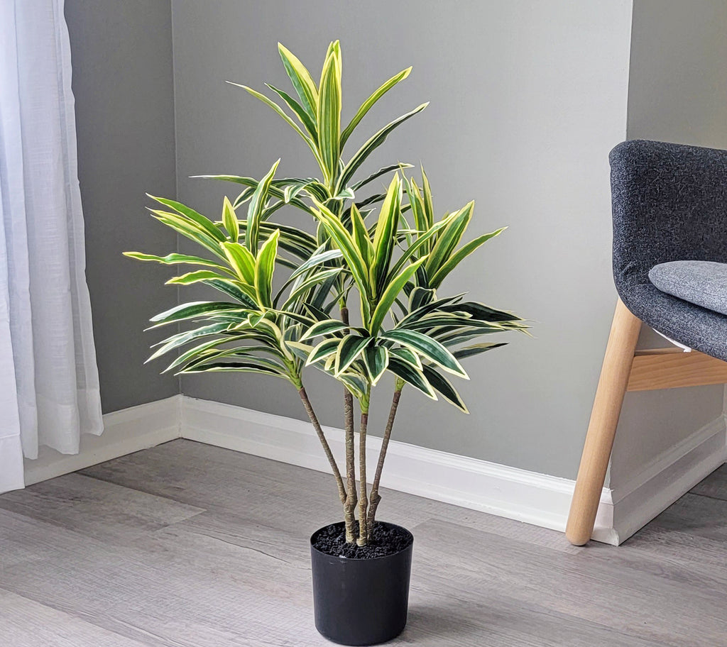 Artificial Dracaena Plant