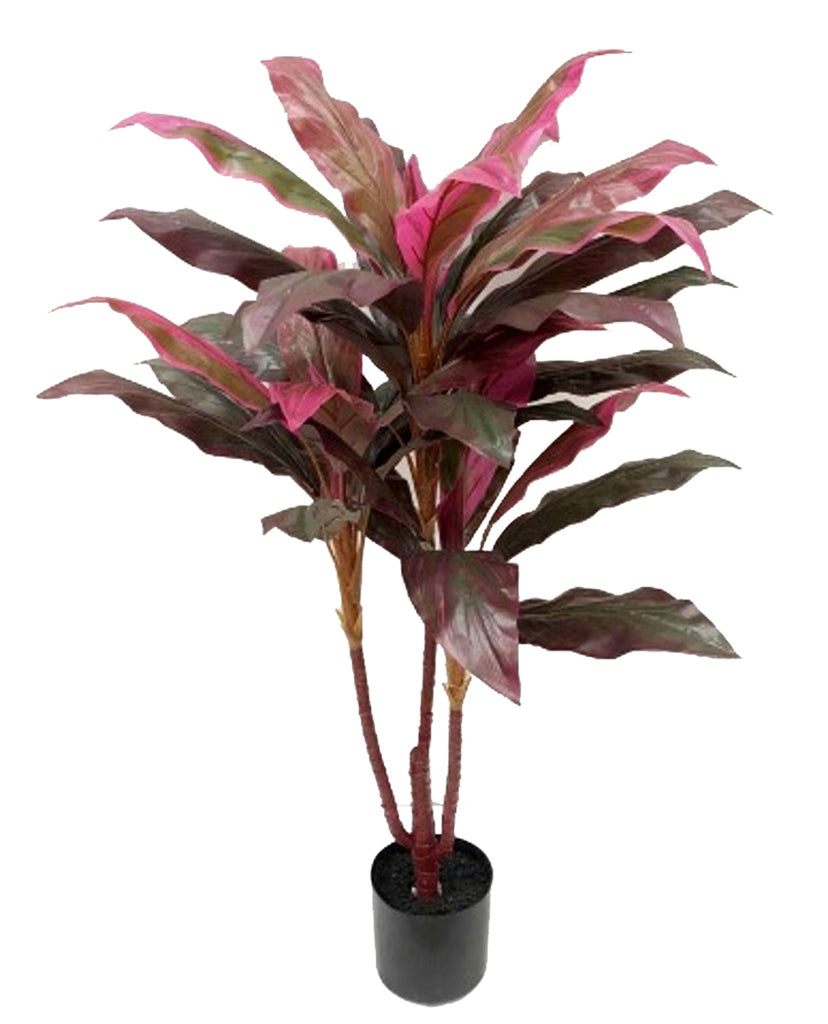 Cordyline Plant Real Touch