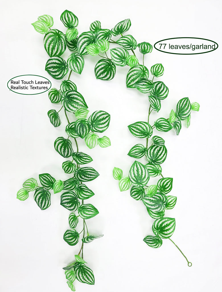 Watermelon Peperomia Real Touch Garland