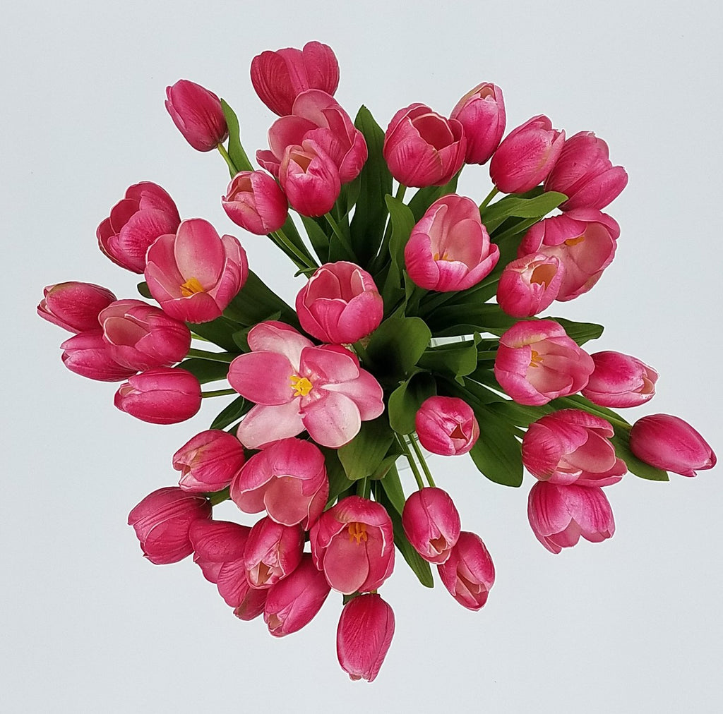 Tulip Stem Bundle 